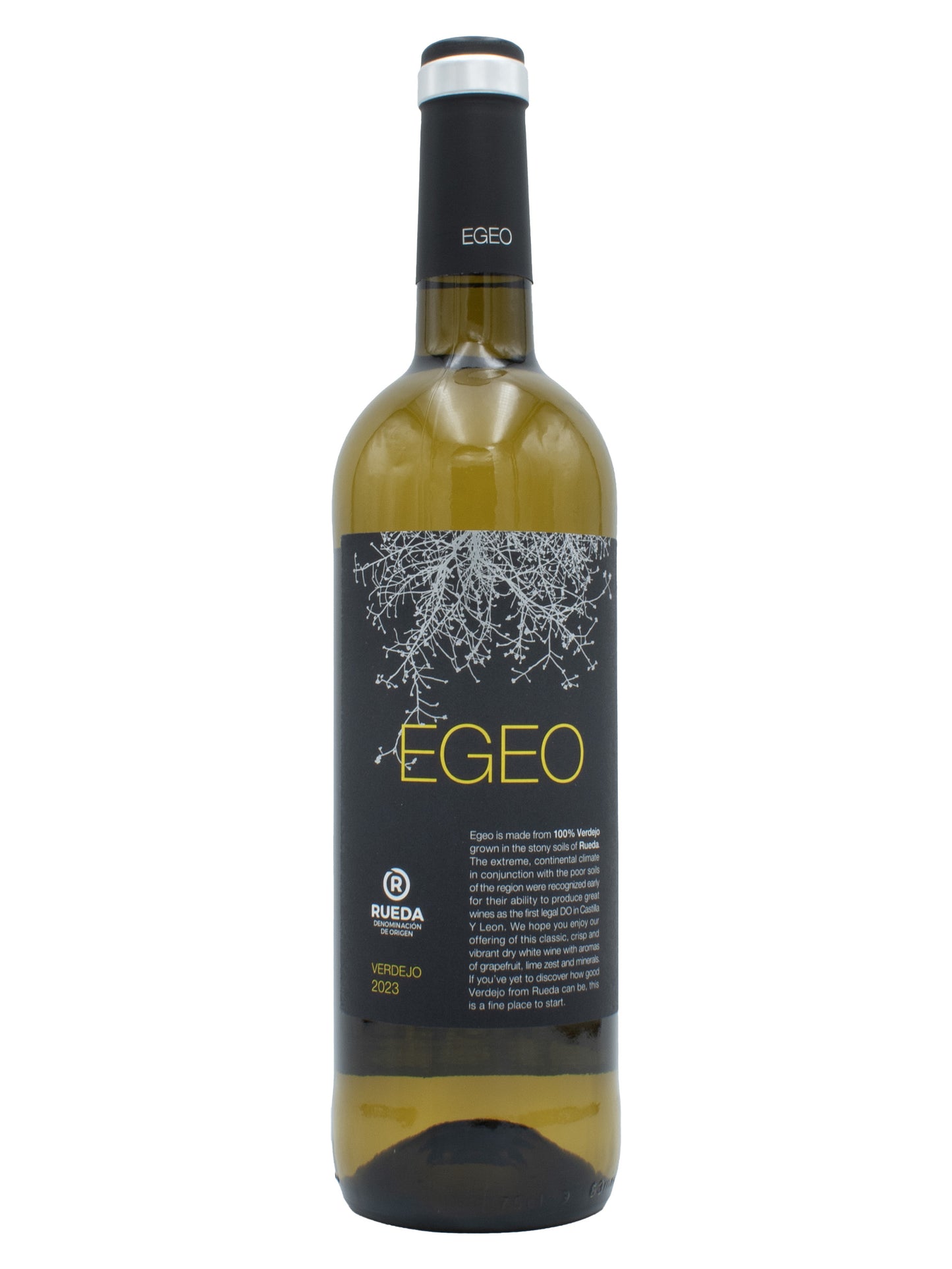 Isaac Fernandez Seleccion Egeo Verdejo 2023