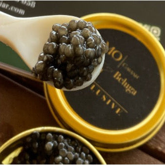 Värske BELUGA kalamari Exclusive (Huso huso) MO Caviar