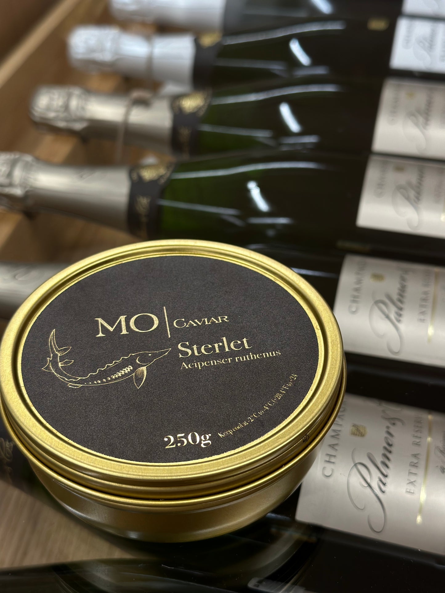 Sterlet tuuramari (Acipenser Ruthenus) MO Caviar 50gr