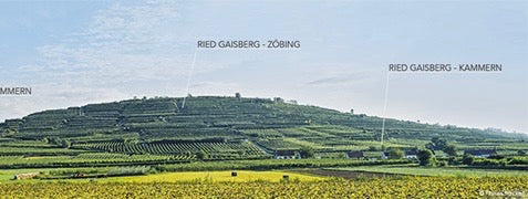 Riesling AJAS VERTIKAAL DEGUSTATSIOON 2020-2015 Weingut Hirsch