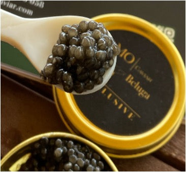 Caviar BELUGA Exclusive (Huso huso) MO Caviar